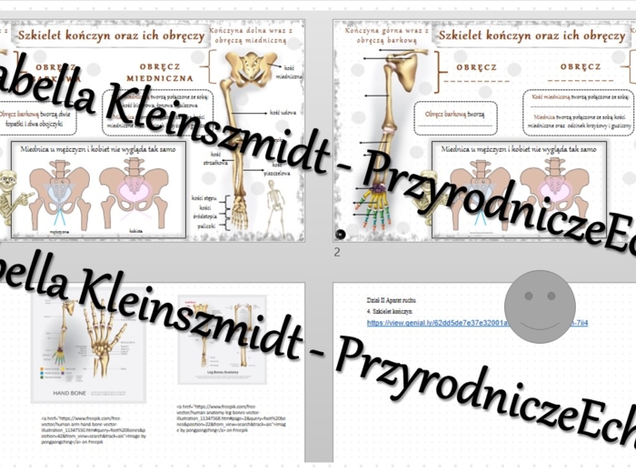 Minizestaw na temat „Szkielet kończyn” – sketchnotka + karta pracy w power point + gratisowy link do prezentacji multimedialnej niekomercyjnej wykonanej w genial.ly do indywidualnego pobrania i użycia do celów niekomercyjnych. Biologia 7, „Układ ruchu”