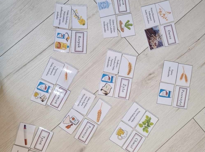 "Produkcja roślinna w Polsce/do zalaminowana/układanka/puzzle/rozmieszczenie upraw w Polsce/rozpoznawanie gatunków w pdf. „Produkcja roślinna”. Geografia 7 "Rolnictwo i przemysł Polski"