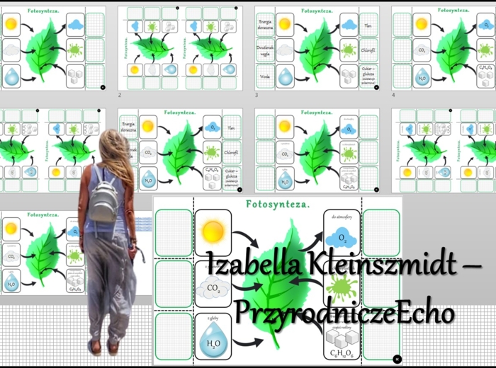 Notatka okienkowa/stacja zadaniowe/notatka interaktywna/notatka graficzna/karta pracy/sketchnotka „Samożywność”, „Fotosynteza” w pdf. Biologia 5, dział „Budowa i czynności życiowe organizmów”. Nowość 2024/2025.