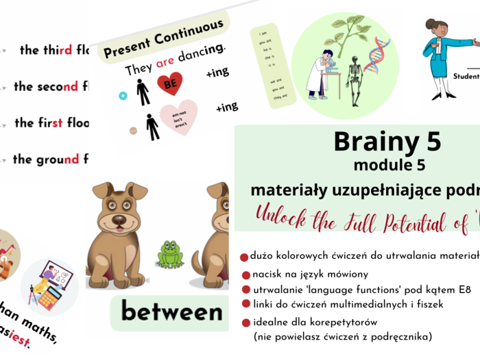Brainy 5,unit 5, dodatkowe materiały dla nauczyciela/korepatytora