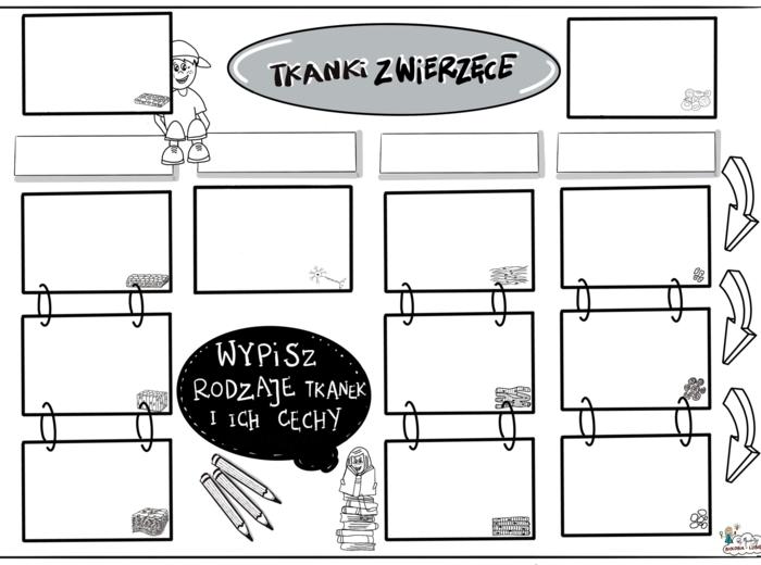 Tkanki zwierzęce. Klasa 6 KARTA PRACY