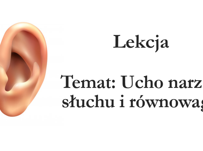 Ucho - klasa 7 - prezentacja