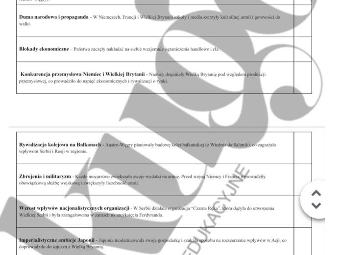 Droga do wojny - przyczyny I Wojny Światowej