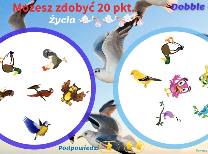 Dobble - ptaki, interaktywna gra, trening koncentracji i refleksu