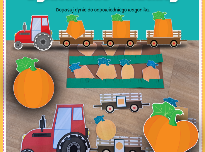 Dzień dyni - kształty