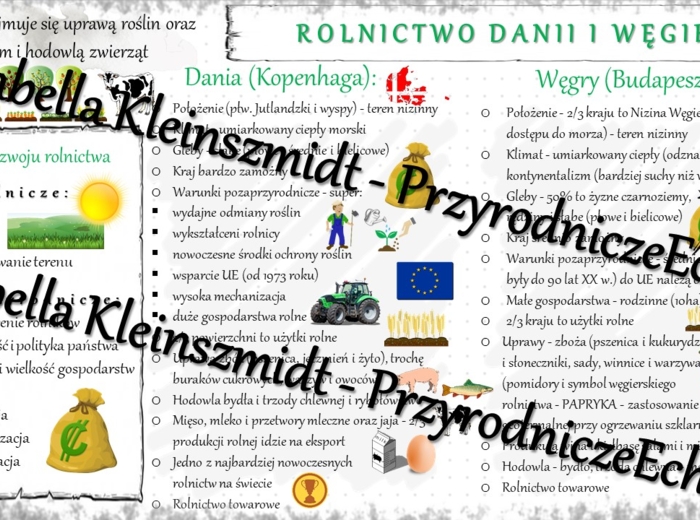 Sketchnotka - notatka „Rolnictwo Danii i Węgier” wykonana w power point do edycji. Geografia 6; „Gospodarka Europy”