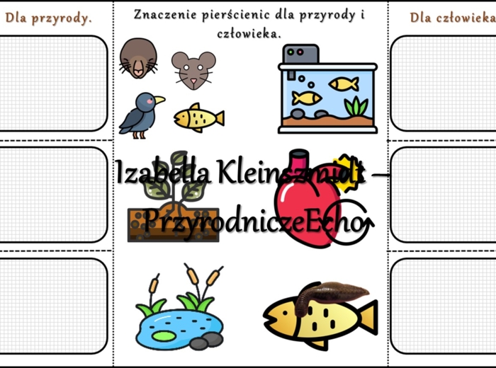 Notatka okienkowa/stacja zadaniowe/notatka interaktywna/notatka graficzna/karta pracy/sketchnotka „Pierścienice”, „Pierścienice-zwierzęta, które mają segmentowane ciało” w pdf. Biologia 5 , dział „Od parzydełkowców do pierścienic”. Materiał wykonany na p