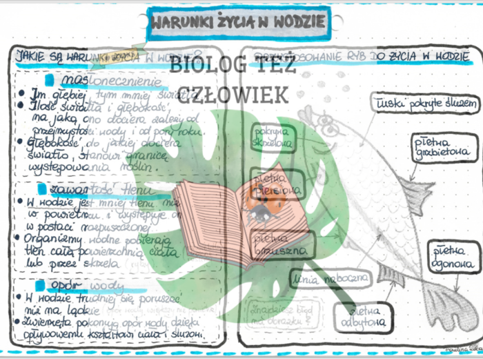 Warunki życia w wodzie - kolor