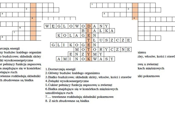 Logogryf na podsumowanie lekcji biologii w klasie 7 "Pokarm- budulec i źródło energii"