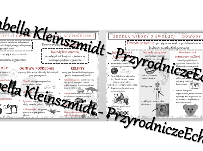 Sketchnotka - notatka „Źródła wiedzy o ewolucji” wykonana w power point do edycji. Biologia 8; „Ewolucja życia”