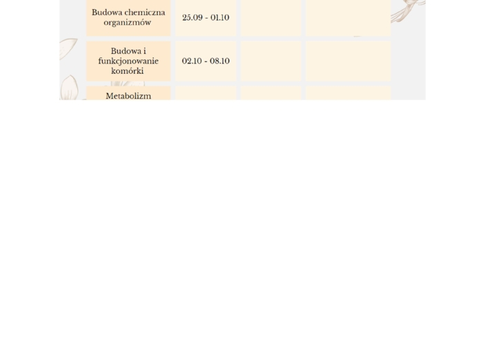 Plan powtórkowy dla 4 klasy liceum