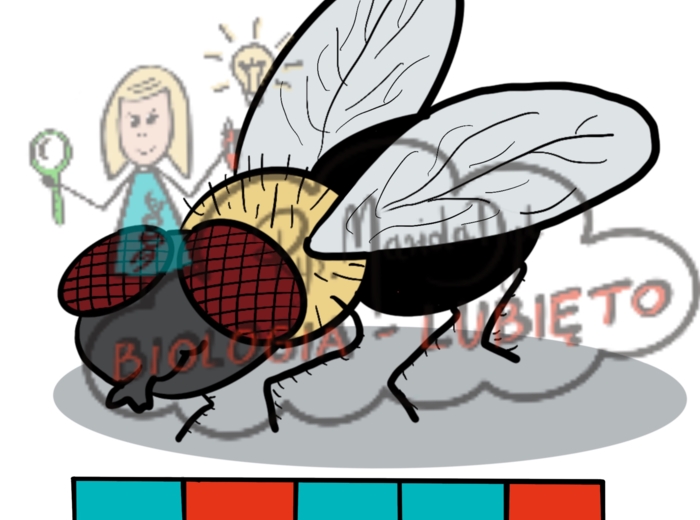 "Dzieciaki lubią zwierzaki"- karty pracy dla najmłodszych. Part.2