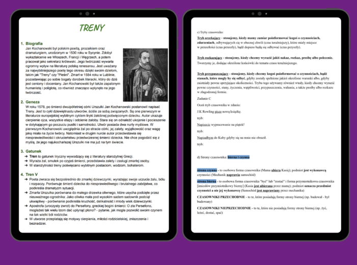 Notatki 8-klasisty - Język polski