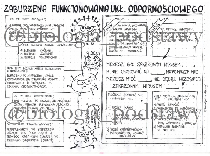 Klasa 7 - Zaburzenia funkcjonowania układu odpornościowego - sketchnotka