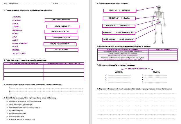 CIAŁO CZŁOWIEKA - SPRAWDZIAN