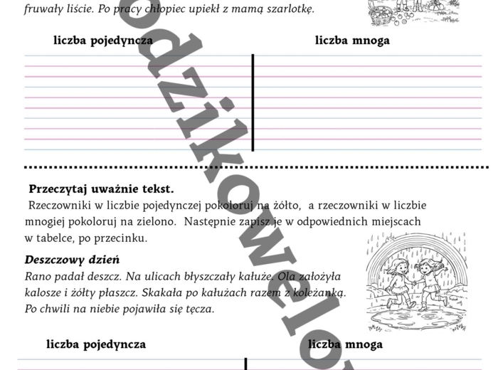 Gramatyka dla smyka- liczby rzeczownika