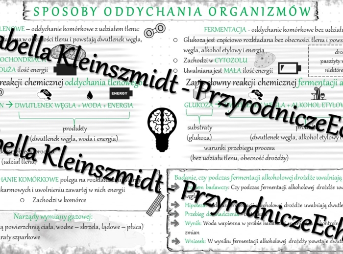 Sketchnotka - notatka „Sposoby oddychania organizmów” wykonana w power point do edycji. Biologia 5; „Budowa i czynności życiowe organizmów”