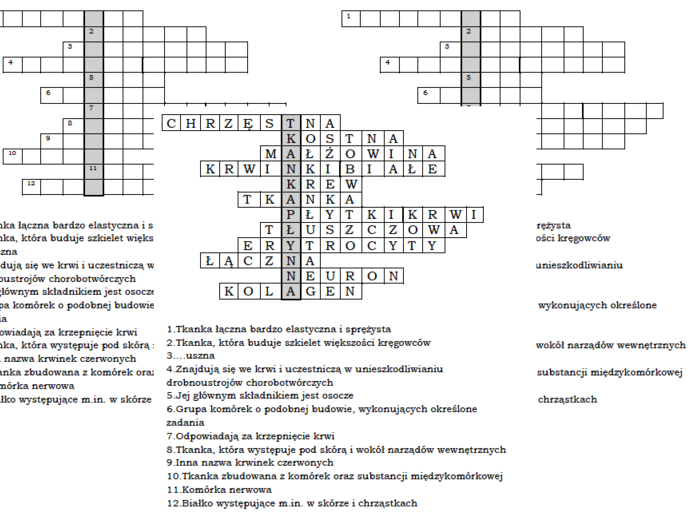 Logogoryf dla klasy 6 na podsumowanie lekcji biologii o tkance łącznej