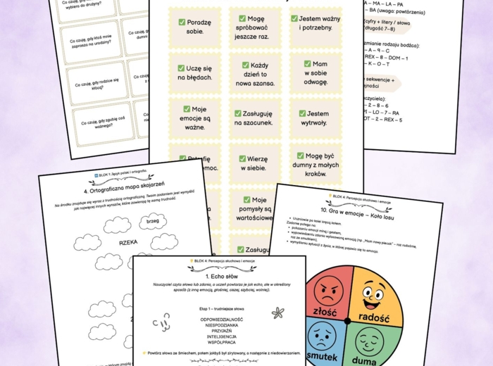Pakiet rewalidacyjny Premium dla klas 4-8
