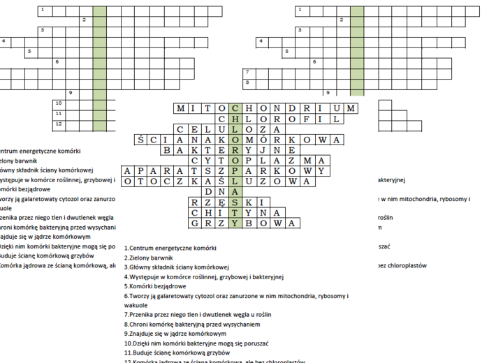 Logogryf na podsumowanie lekcji biologii w klasie 5 o komórce roślinnej