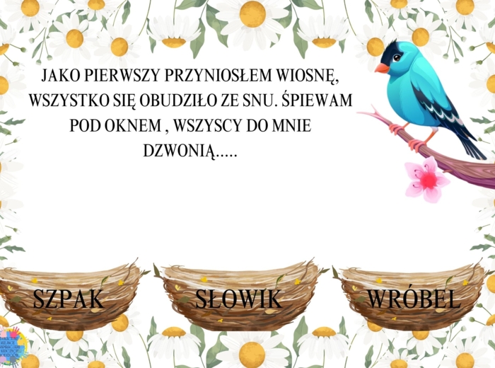 DZIEŃ PTAKÓW - EDUKACYJNA PRZYGODA DLA DZIECI
