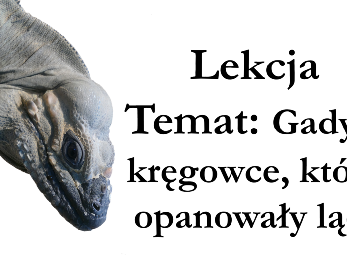 klasa 6 - Gady - prezentacja