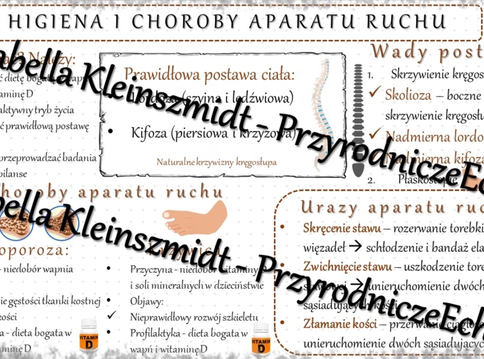 Sketchnotka - notatka „Higiena i choroby aparatu ruchu” wykonana w power point do edycji. Biologia 7; „Aparat ruchu”