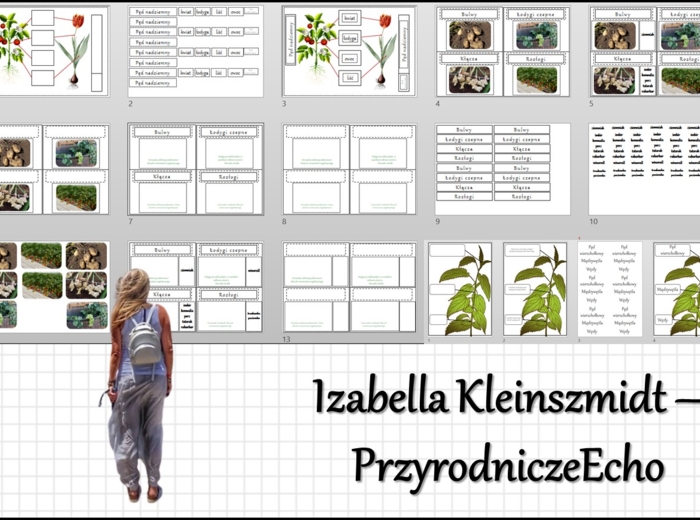 Materiał do zalaminowania/praca w grupach/stacje zadaniowe/układanka/puzzle „Pęd. Budowa i funkcje łodygi” w pdf. Biologia 5, dział „Tkanki i organy roślinne”.