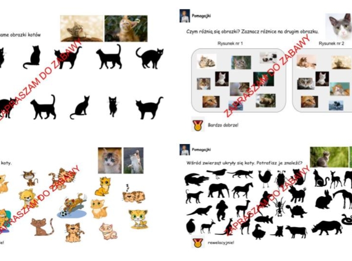 Zadanka na dzień kota