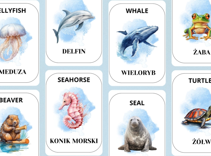 KARTY EDUKACYJNE ZE ZWIERZĘTAMI WODNYMI I MORSKIMI 12