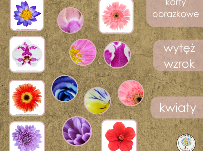 Gra - wytęż wzrok - kwiaty