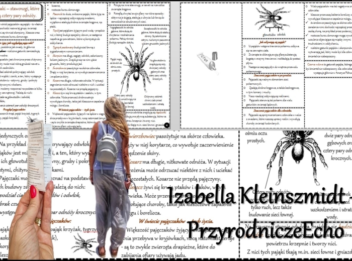 Książeczka/sketchnotka/notatka/wklejka/streszczenie dla ucznia i przypomnienie dla nauczyciela/edukacja domowa/materiał w pigułce. Temat „Pajęczaki – stawonogi, które mają cztery pary odnóży.” w pdf. Biologia 6, dział „Stawonogi i mięczaki”. Nowość 2024/