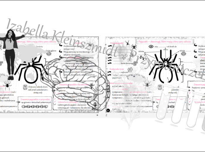Sketchnotka - notatka „Pajęczaki – stawonogi, które mają cztery pary odnóży” wykonana w power point do edycji. Biologia 6; „Stawonogi i mięczaki”