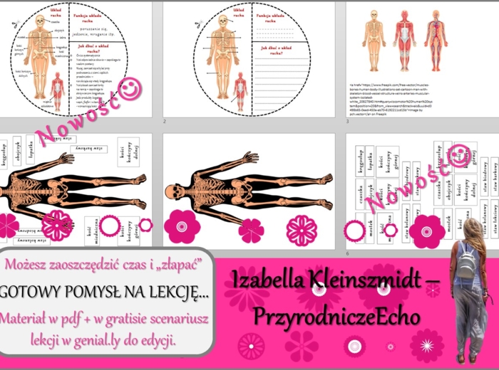 Pomysł na lekcję/karta pracy/stacje zadaniowe/materiał do lekcji do tematu „Szkielet i mięśnie umożliwiają ruch” w pdf. W gratisie niekomercyjny scenariusz lekcji/pomysł na lekcję w programie genial.ly do edycji. Przyroda 4. Dział „Odkrywamy tajemnice ci