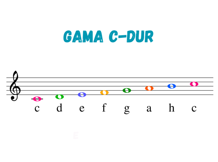 Muzyka. Nauka nut. Gama C-dur w kluczu wiolinowym. Duża, kolorowa czcionka.