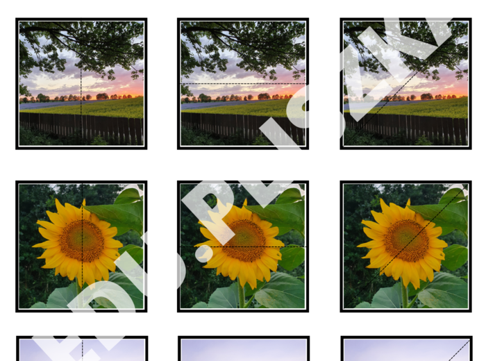 Pionowo, poziomo, na skos: pory roku