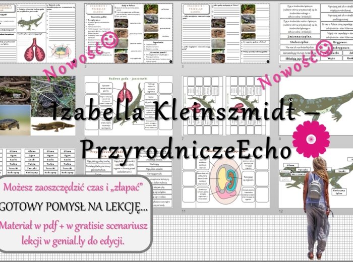 Pomysł na lekcję/karta pracy/stacje zadaniowe/ materiał do lekcji do tematu „Gady - kręgowce, które opanowały ląd” w pdf. W gratisie niekomercyjny scenariusz lekcji/pomysł na lekcję w programie genial.ly do edycji. Biologia 6. Dział „Kręgowce zmiennociep