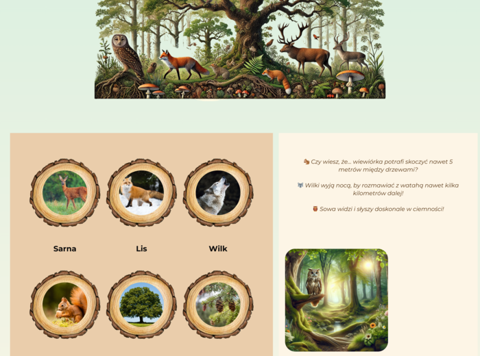 Plansze z ekosystemami (Las, łąka, jezioro)