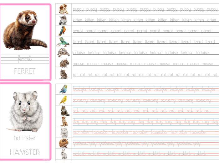 Nauka pisania po śladzie: Pets TRACING