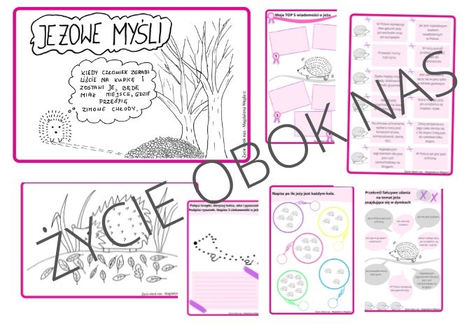 O JEŻU SŁÓW KILKA