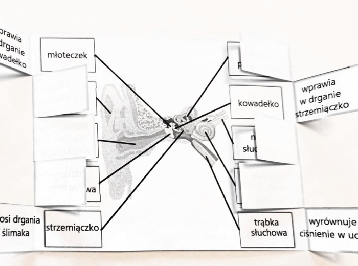 Ucho - okienkowa notatka