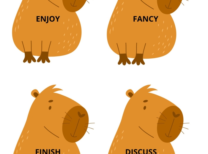 Sorting activities gerund and infinitive