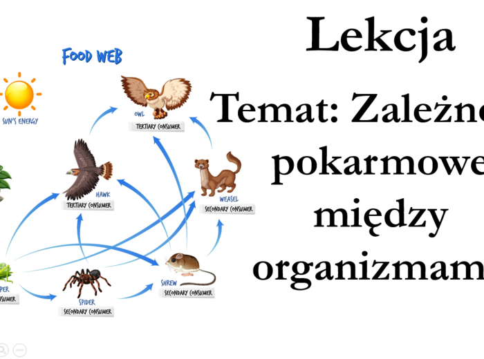 Klasa 8 - Zależności pokarmowe - prezentaja