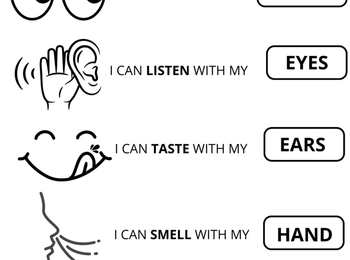 Kids Can 1 unit 4 senses