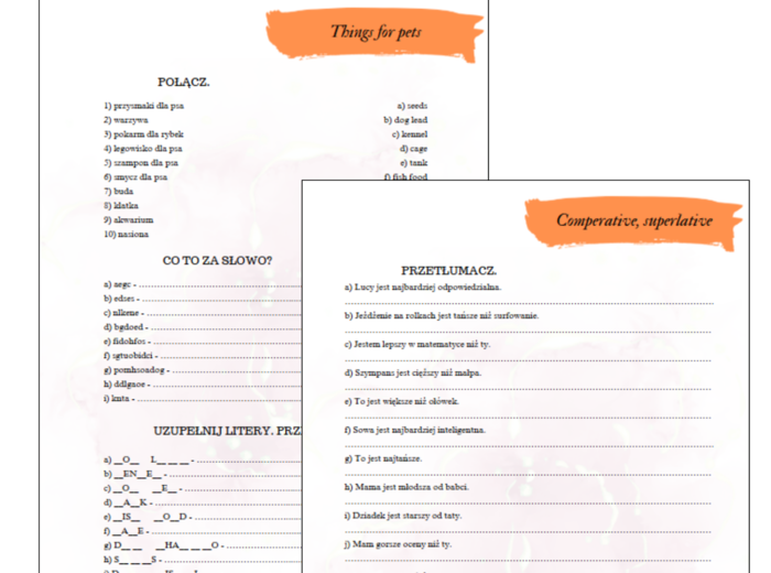 Brainy 6 unit 4 karty pracy słownictwo + gramatyka