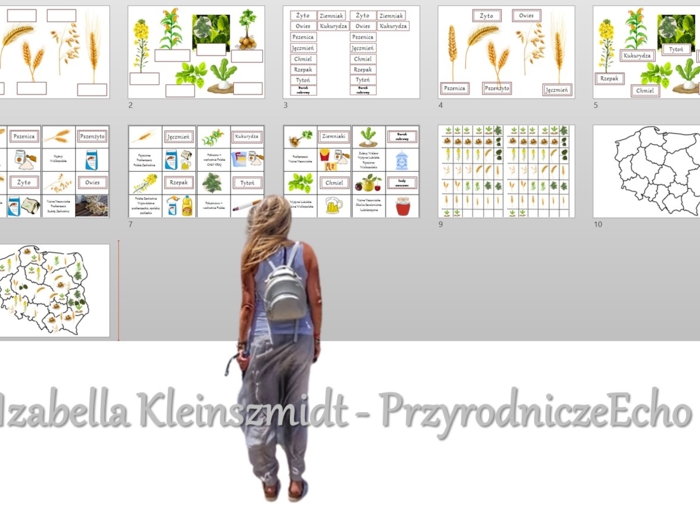 "Produkcja roślinna w Polsce/do zalaminowana/układanka/puzzle/rozmieszczenie upraw w Polsce/rozpoznawanie gatunków w pdf. „Produkcja roślinna”. Geografia 7 "Rolnictwo i przemysł Polski"