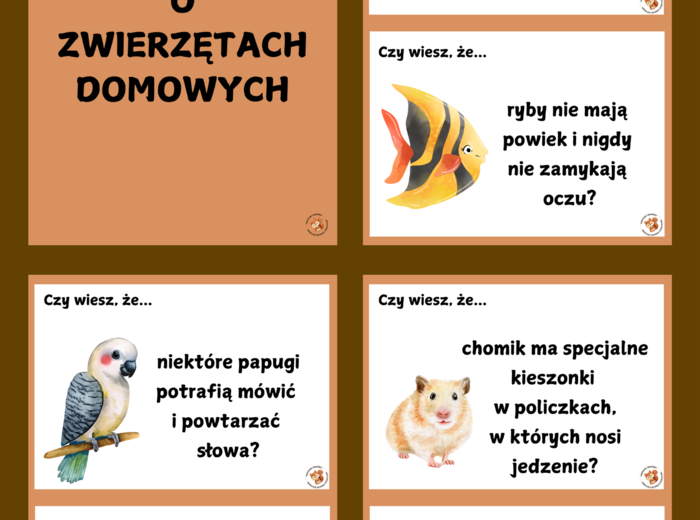 ZWIERZĘTA DOMOWE
