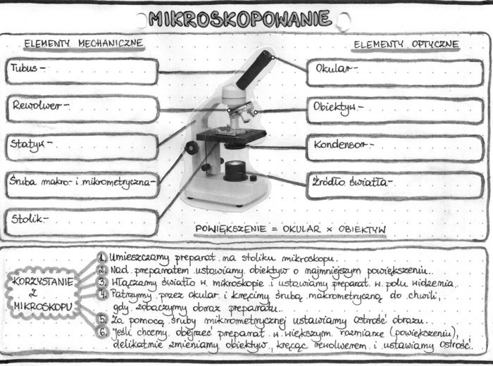Mikroskopowanie - szarość