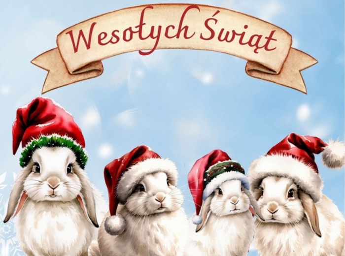 Świąteczna dekoracja na drzwi w rozmiarze XXL