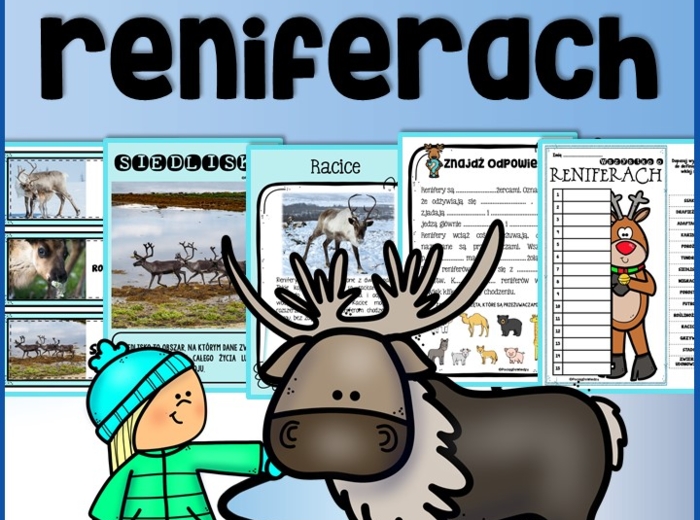 Zima - Wszystko o reniferach